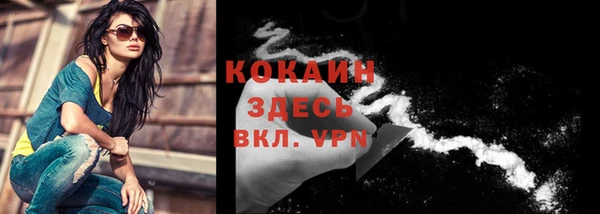 крисы Пересвет