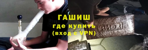 индика Пестово