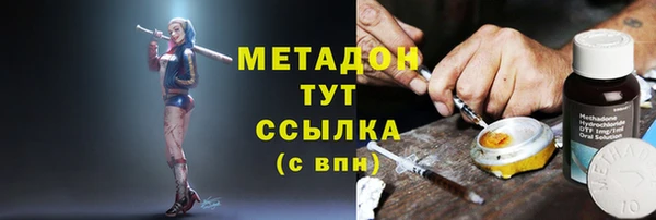 индика Пестово