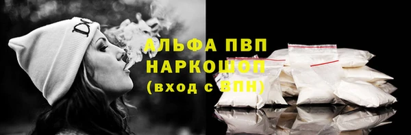 индика Пестово