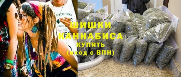 индика Пестово
