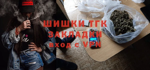индика Пестово