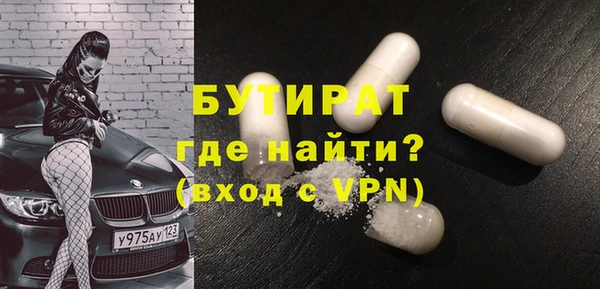 индика Пестово