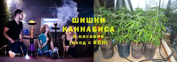 крисы Пересвет