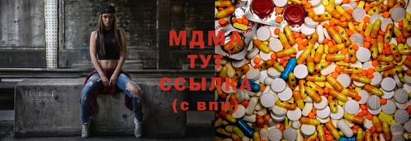 индика Пестово