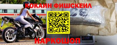 мдпв Камышлов