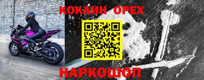 мдпв Камышлов