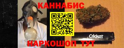 мдпв Камышлов