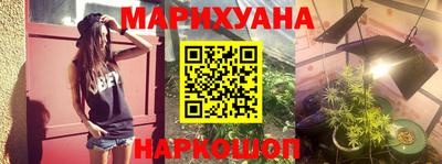 мдпв Камышлов