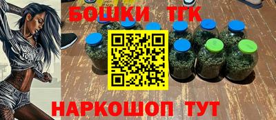 мдпв Камышлов