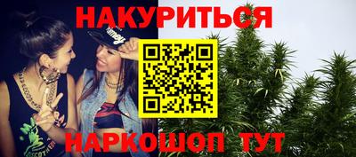 мдпв Камышлов