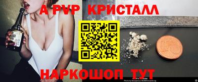мдпв Камышлов