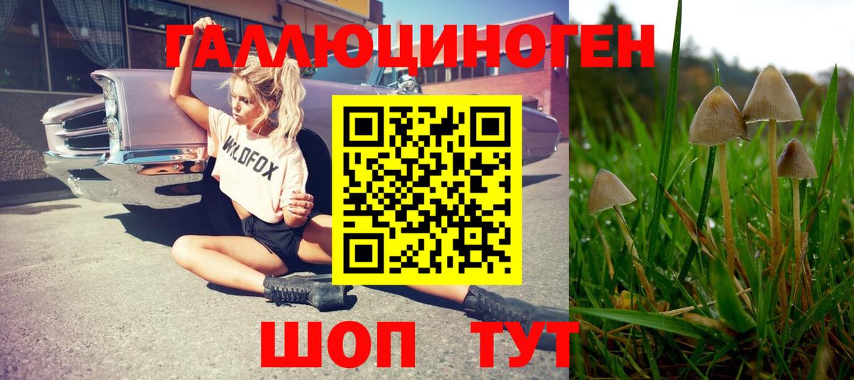 Псилоцибиновые грибы мицелий  Вход с VPN  где купить наркоту  Балашов 