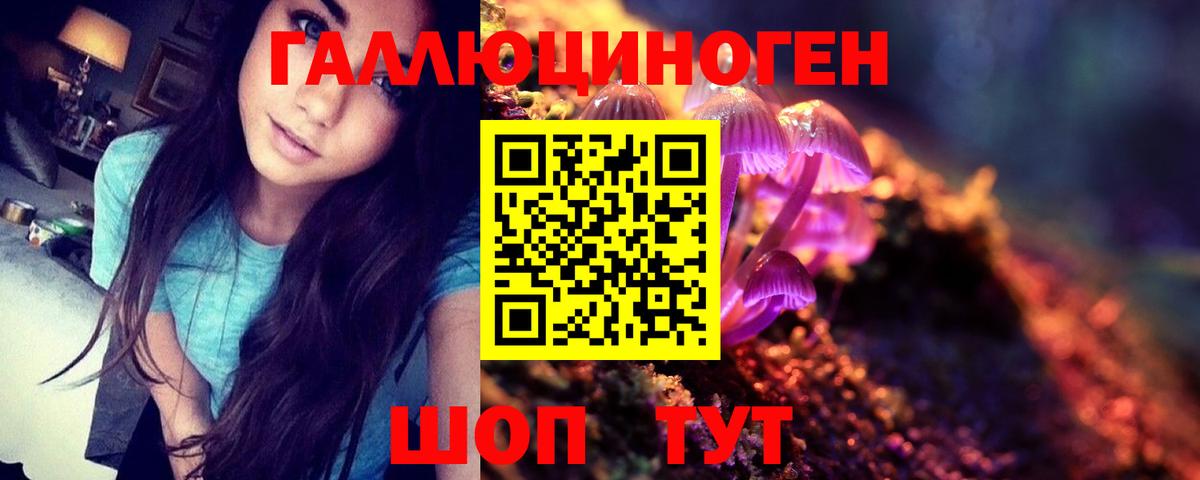 Псилоцибиновые грибы мицелий Балашов