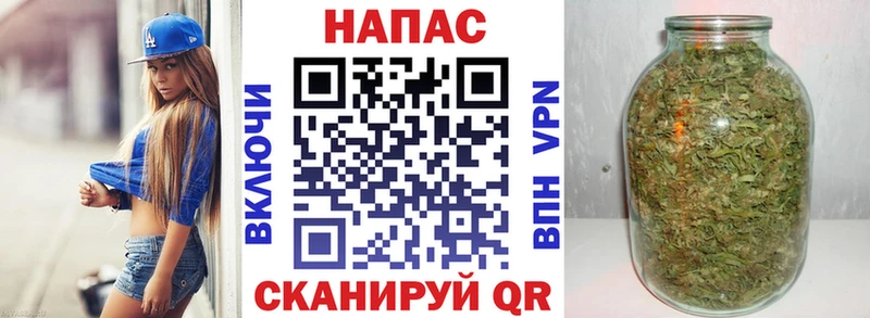 Бошки Шишки SATIVA & INDICA  где продают наркотики  Балашов 